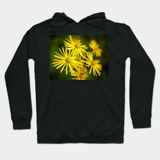 Wild yellow daisies Hoodie